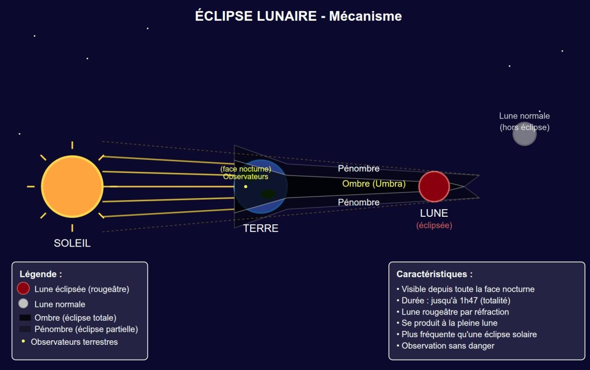 L&rsquo;Éclipse des Laboratoires : L’Invention Militaire des Sciences de la Vie