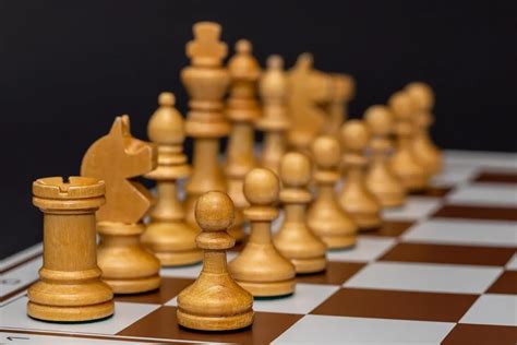 La Jungle Gagne : L&rsquo;Échec de l&rsquo;Europe à Se Reconnaître dans son Histoire